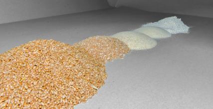 Verschiedene Mahlgrade: Weizen, Schrot, Griess, Dunst und Mehl